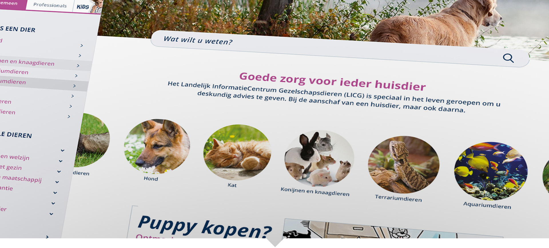 Top_Images_Small_LICG